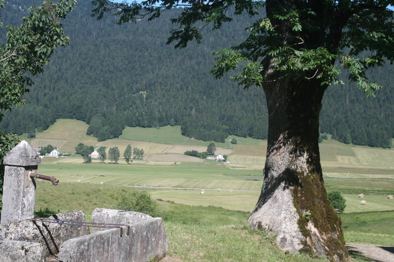 paysage_lise_libre_droit_7.jpg - © CCMV paysage_lise_libre_droit_7.jpg
