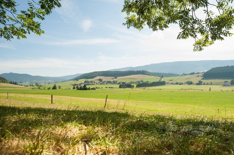 paysage paysage