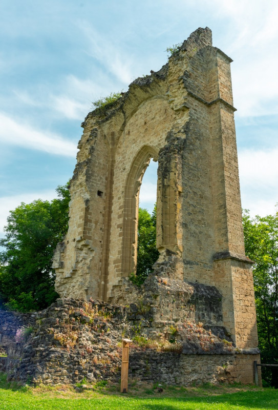Vestiges de la chapelle castrale - Beauvoir en Royans