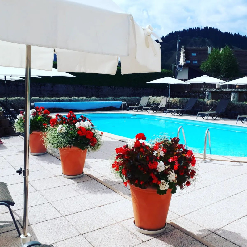 Piscine - © Hôtel Restaurant Les Tilleuls Piscine