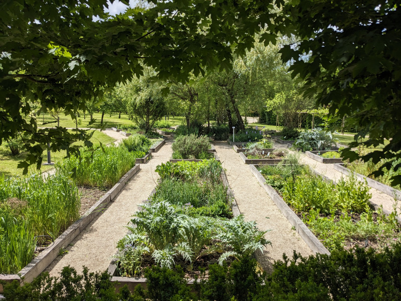 Jardin des simples - © R.Izquierdo Jardin des simples