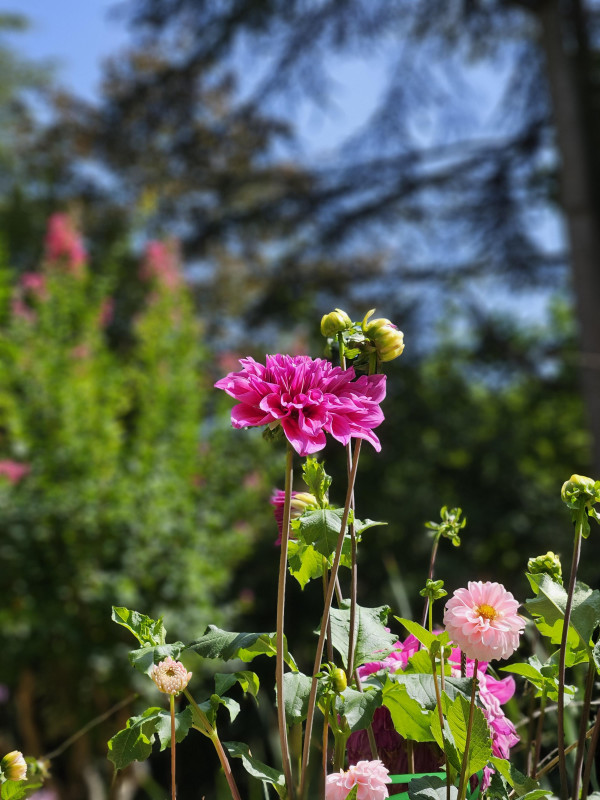 Jardin des Fontaines Pétrifiantes - © Camille V. Jardin des Fontaines Pétrifiantes