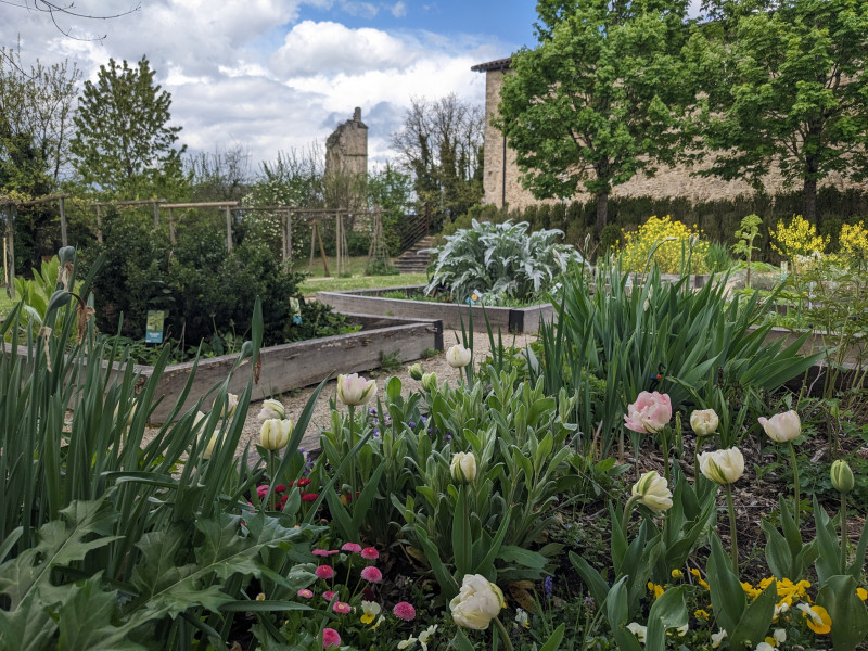 Jardin des simples Couvent des Carmes - © R.Izquierdo Jardin des simples Couvent des Carmes