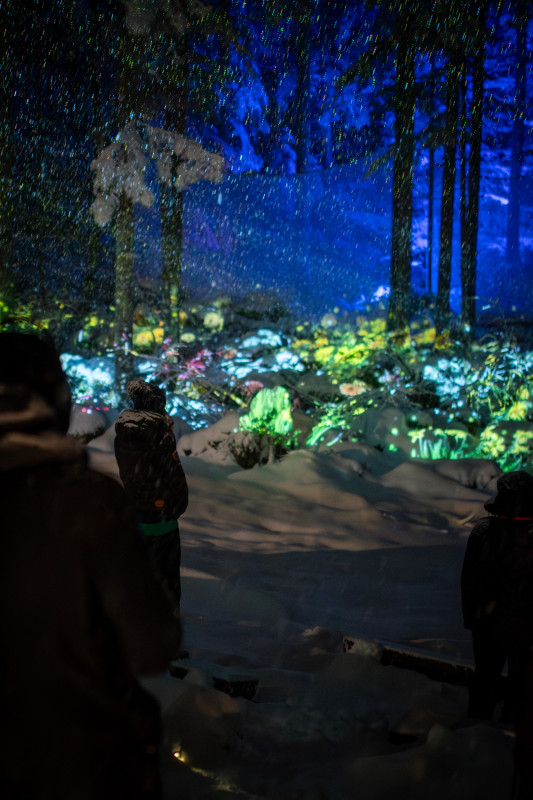Vercors en Lumières_Villard-de-Lans - © Corentin Bréart Vercors en Lumières_Villard-de-Lans