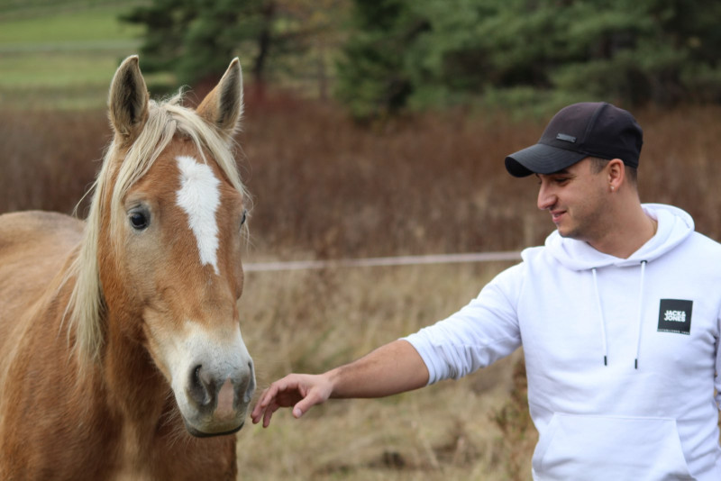Aux palabres equestres