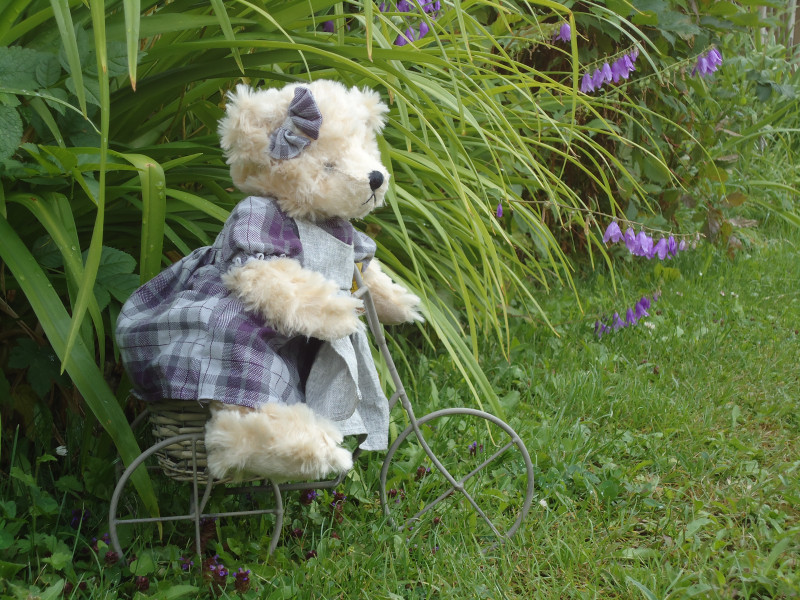 peluche peluche