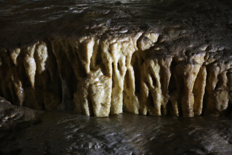 Vercors Aventure_Villard-de-Lans - © Vercors Aventure Vercors Aventure_Villard-de-Lans