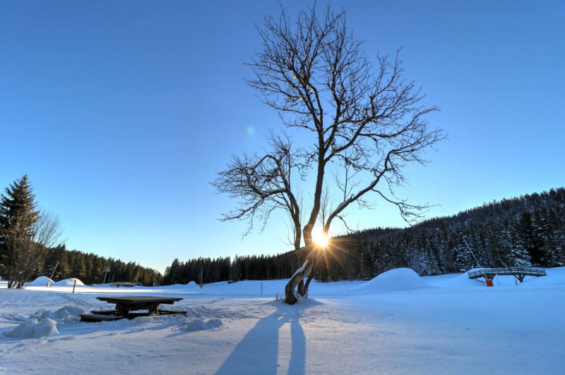 paysage
