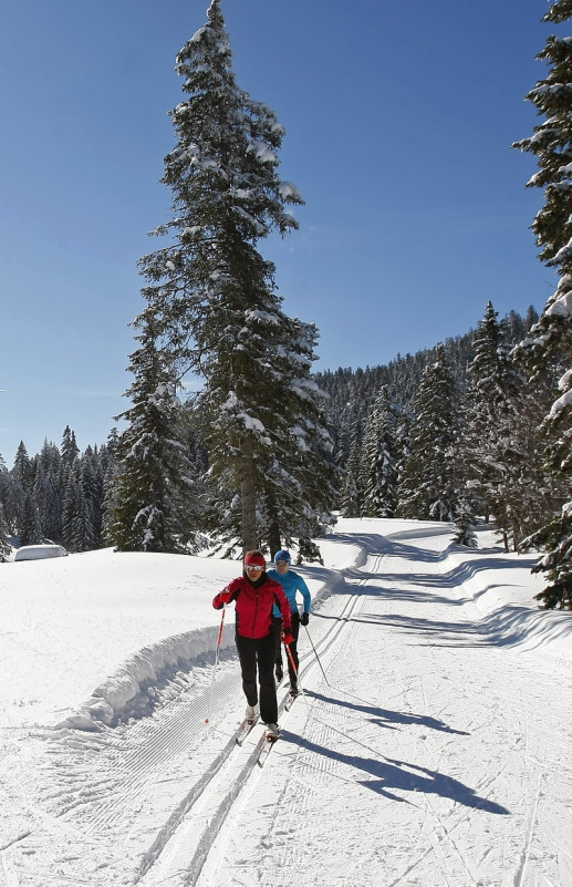piste de fond