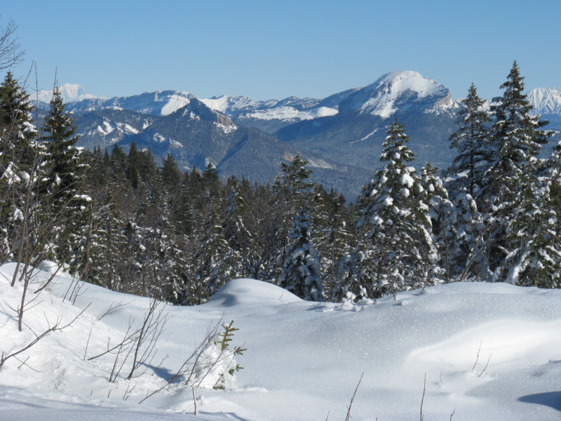 paysage