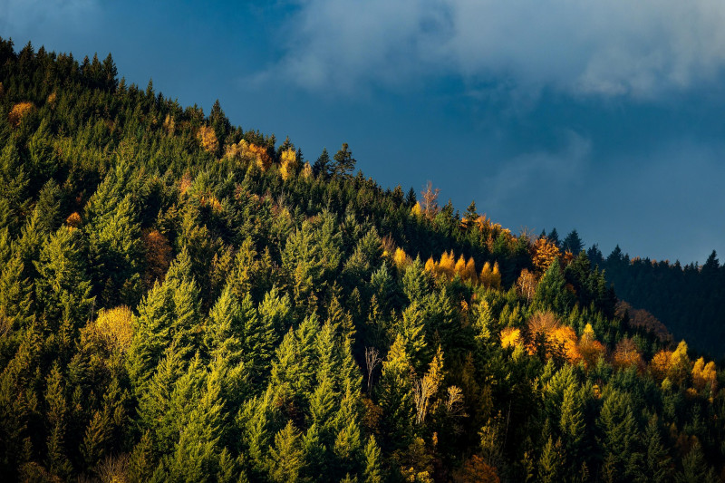 Les Sabots - randonnée familiale_Autrans-Méaudre en Vercors - © Pixabay, libre de droits Les Sabots - randonnée familiale_Autrans-Méaudre en Vercors