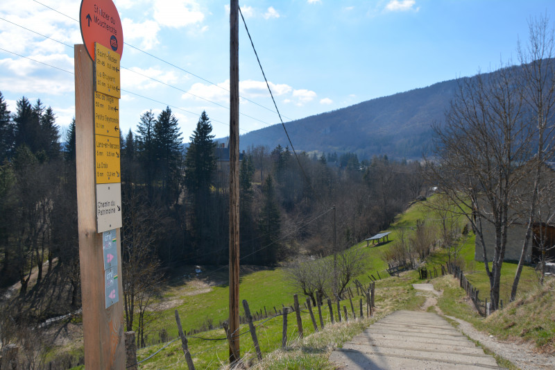 dsc_1017.jpg dsc_1017.jpg