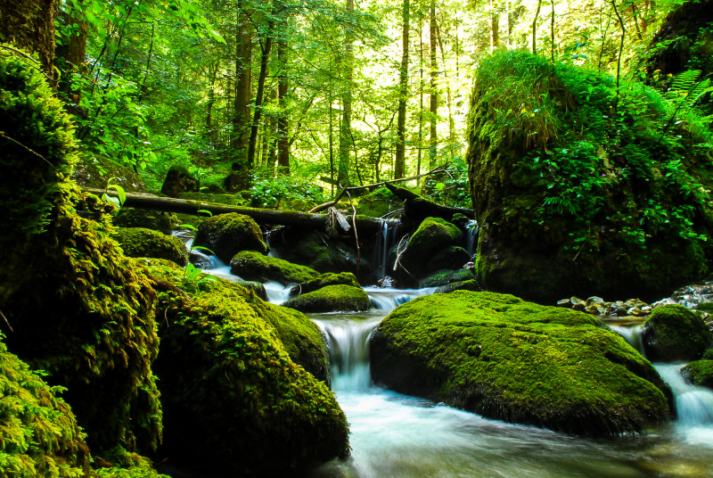 Gorges du Bruyant Lans en Vercors