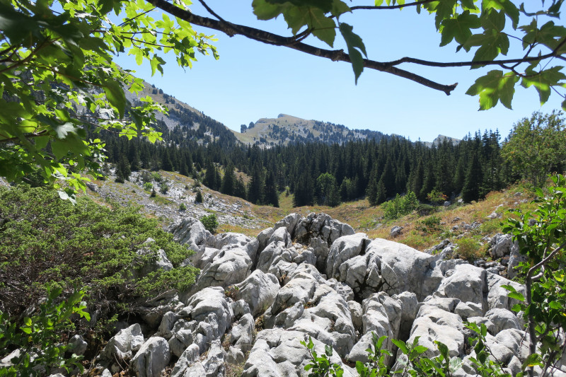 Accompagnateurs en Montagne Pied Vert_Lans-en-Vercors