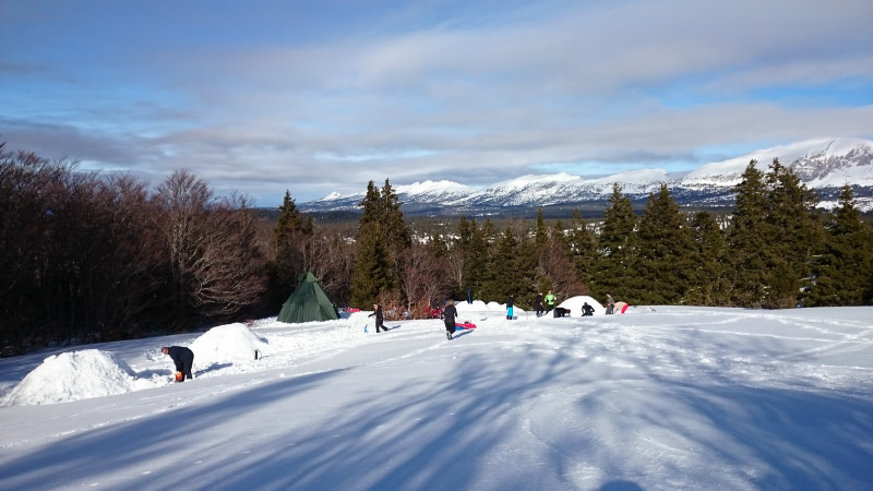 Igloo