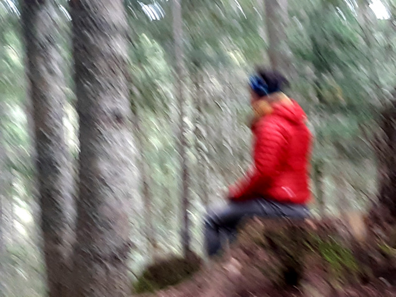Cours de yoga en forêt