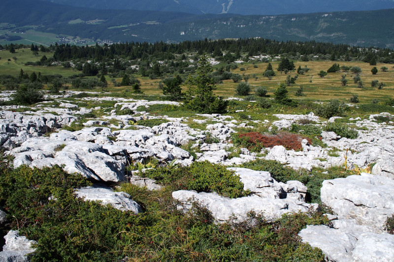 Les Ramées - © C. Favier Les Ramées