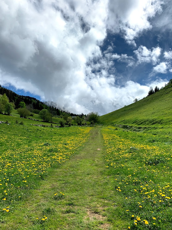 paysage - © Office de Tourisme Intercommunal Vercors - Bureau d'Information Touristique de Lans-en-Vercors paysage