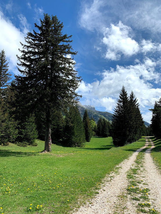paysage - © Office de Tourisme Intercommunal Vercors - Bureau d'Information Touristique de Lans-en-Vercors paysage