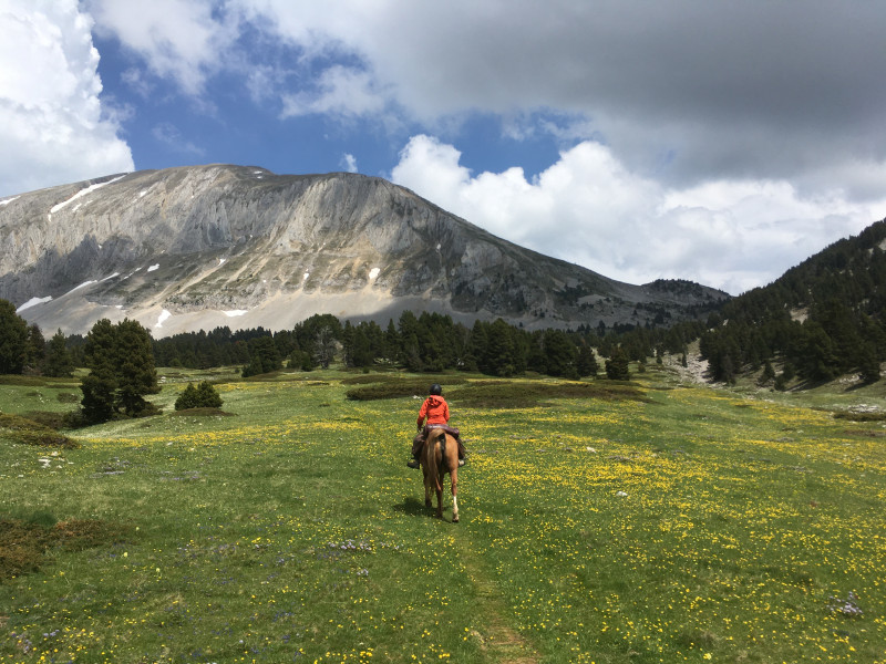 Randonnée face au Grand Veymont
