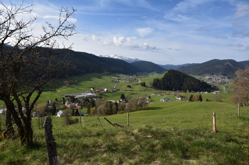 lauzes_3_redimensionne.jpg - © OT Méaudre lauzes_3_redimensionne.jpg