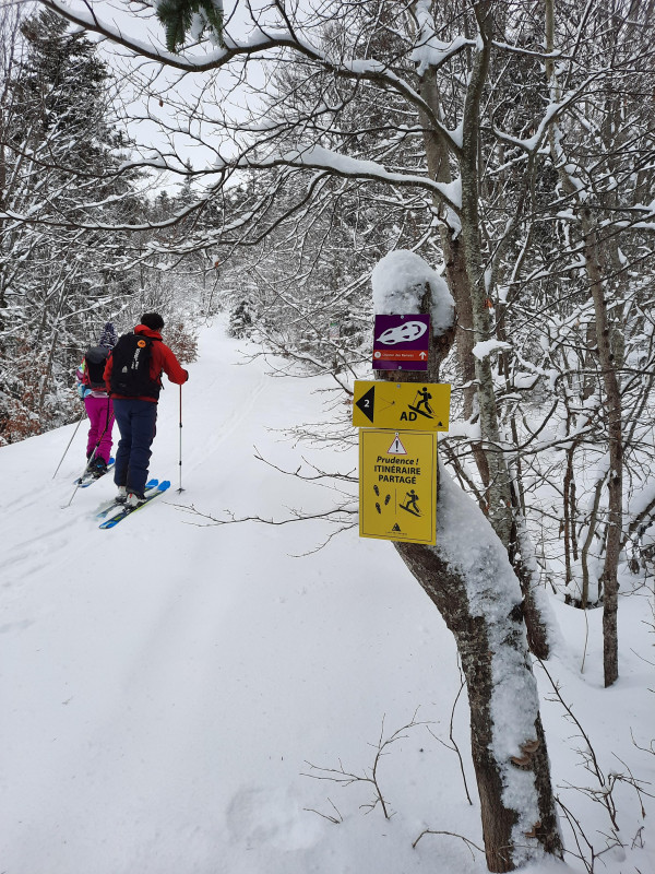 ski_rando_ramees_lans.jpg - © OTI Vercors ski_rando_ramees_lans.jpg