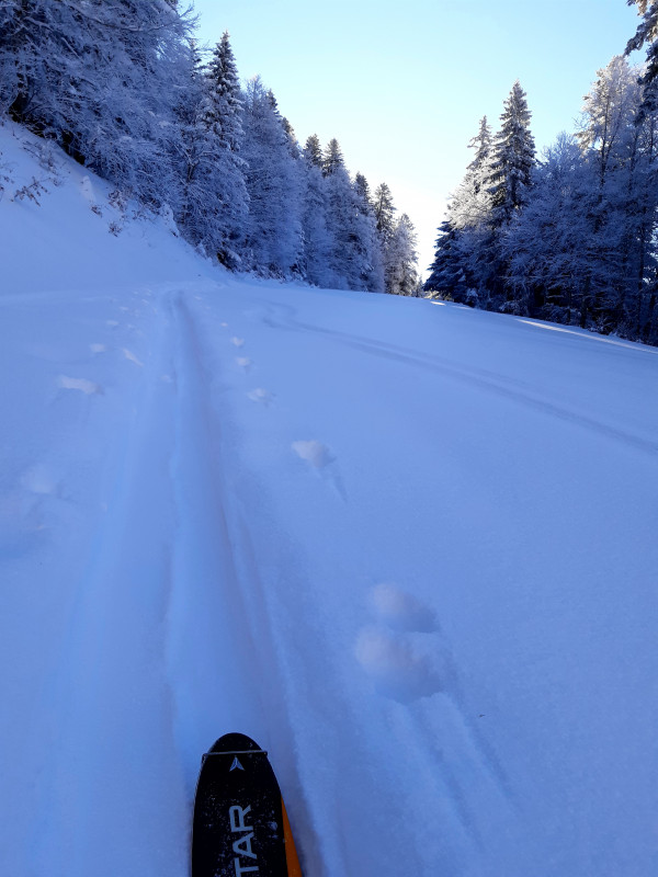 ski_rando_roche_rousse_lans.jpg - © OTI Vercors ski_rando_roche_rousse_lans.jpg