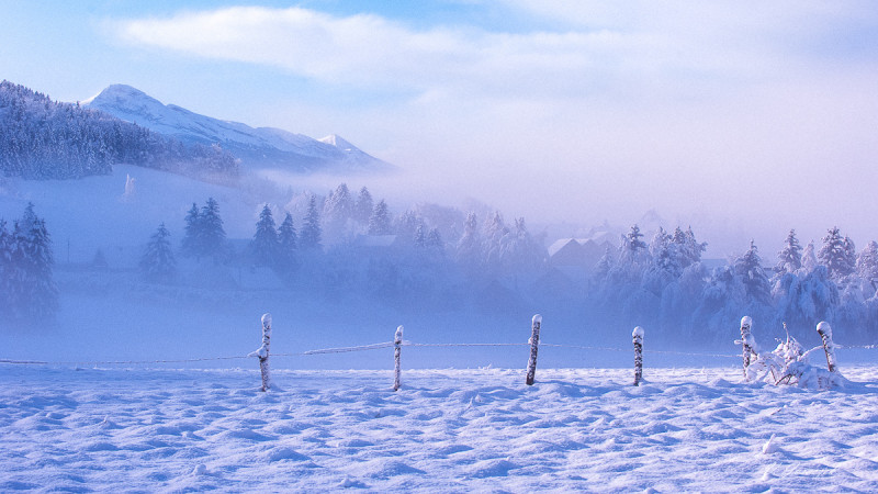 Paysage enneigé