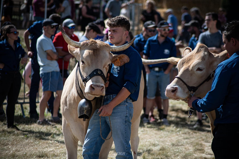 Concours agricole