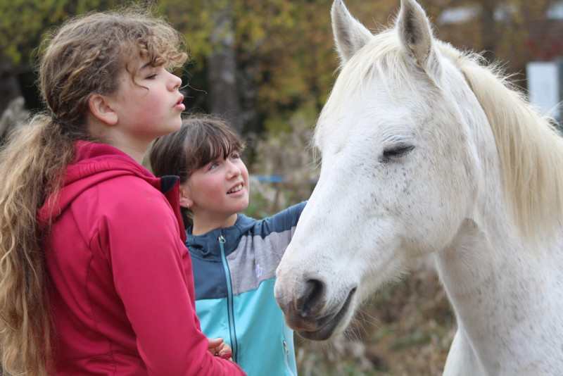 Aux palabres equestres