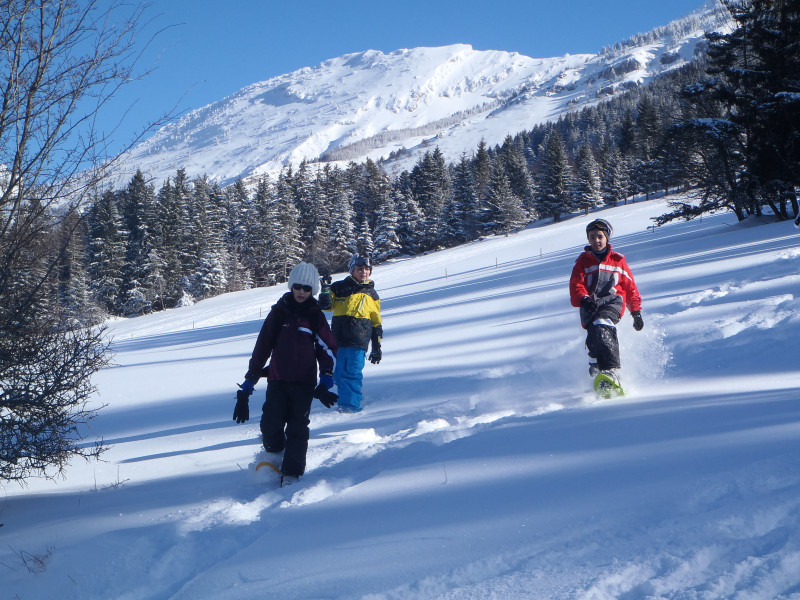 rando raquette vercors