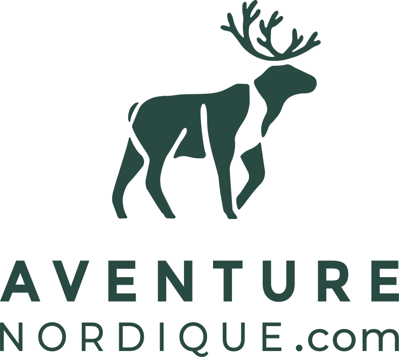 Logo aventure Nordique