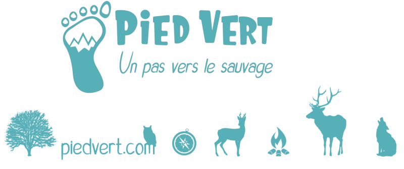 Pied Vert Logo