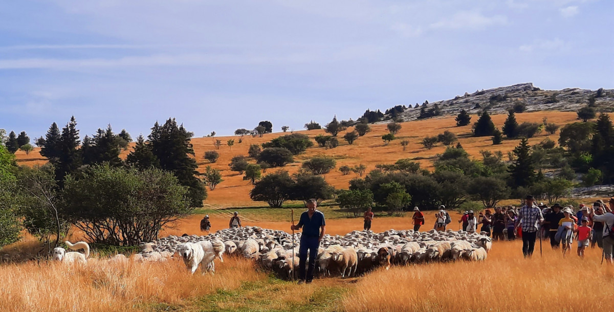 20230813-100840-837446