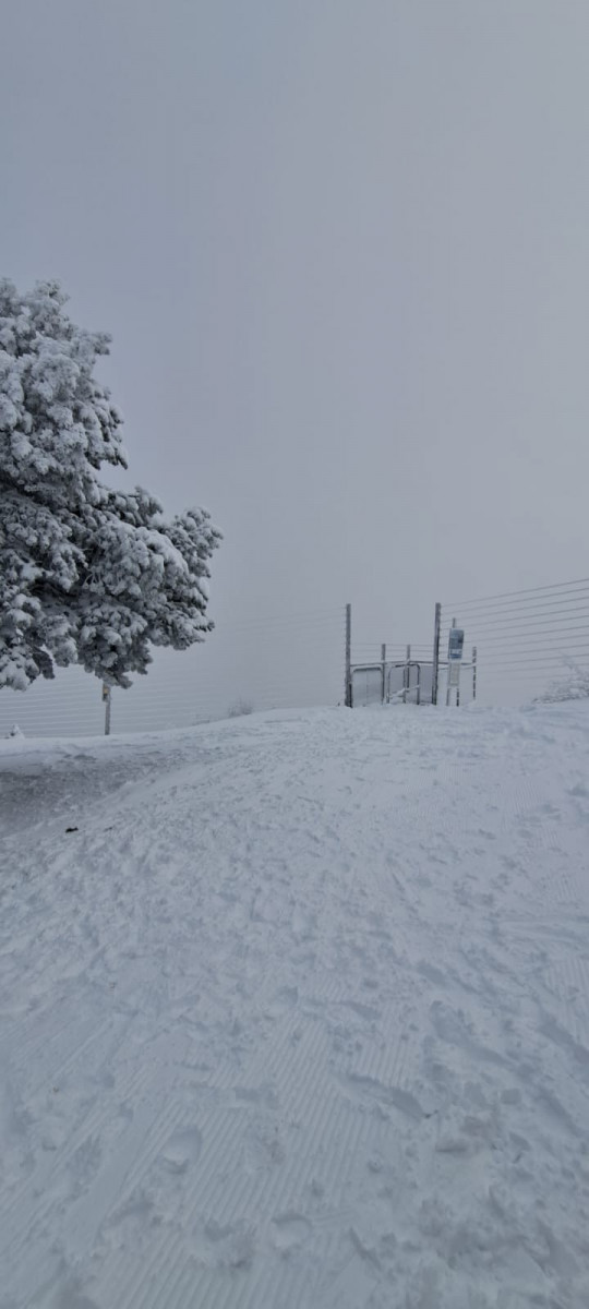 27-11-2025-7-1292821