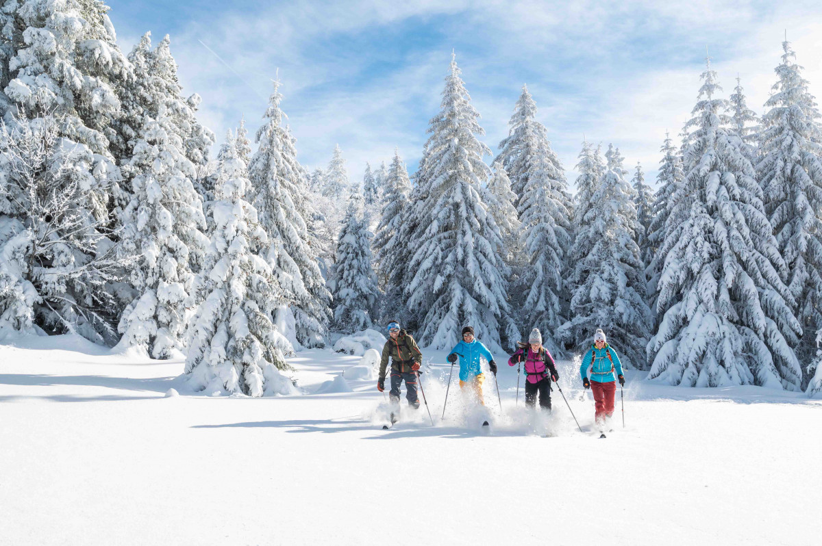 arcanson-focus-outdoor-2-1312764