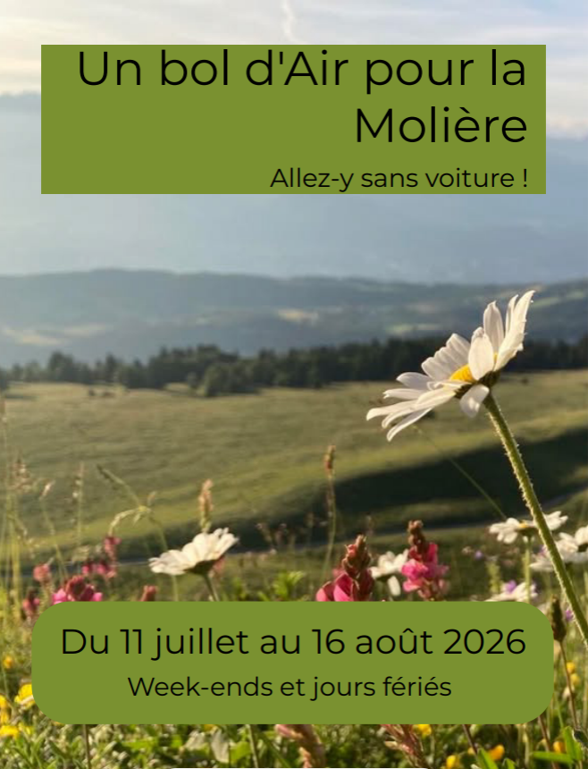 bol-d-air-2026-1510178