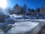 Jardin enneigé