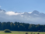 vue_du_gite_sud_5.jpg