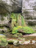 Tufière dans le canyon du Furon