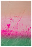Sérigraphie de Sabrina Pelloux-Prayer_Lans-en-Vercors