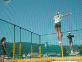 Trampoline Cage