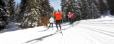 ski_fond_1.jpg