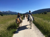 Randonnée de groupe à cheval