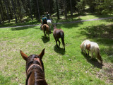 Randonnée à cheval