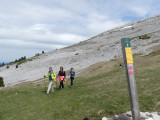Marche nordique