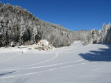 img_1087.jpg
