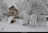 JARDIN HIVER
