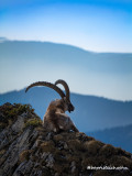 P1068931-Enhanced-NR-2.jpg