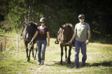 Balade à cheval